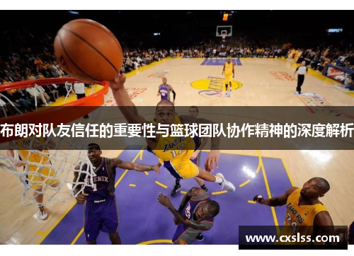 布朗对队友信任的重要性与篮球团队协作精神的深度解析