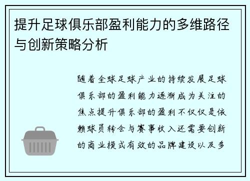 提升足球俱乐部盈利能力的多维路径与创新策略分析